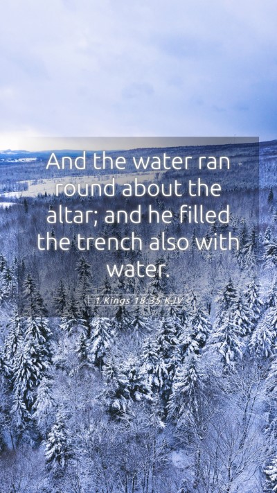 Picture 05 - 1 Kings 18:35 KJV Mobile Phone Wallpaper - And the water ran round about the altar; and he - Mobile Bible Verse Wallpaper
