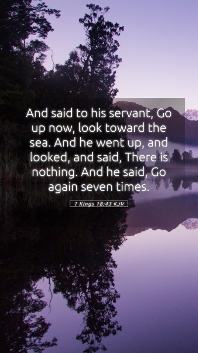 Picture 05 - 1 Kings 18:43 KJV Mobile Phone Wallpaper - And said to his servant, Go up now, look toward - Mobile Bible Verse Wallpaper