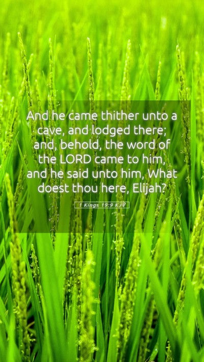 Picture 05 - 1 Kings 19:9 KJV Mobile Phone Wallpaper - And he came thither unto a cave, and lodged - Mobile Bible Verse Wallpaper