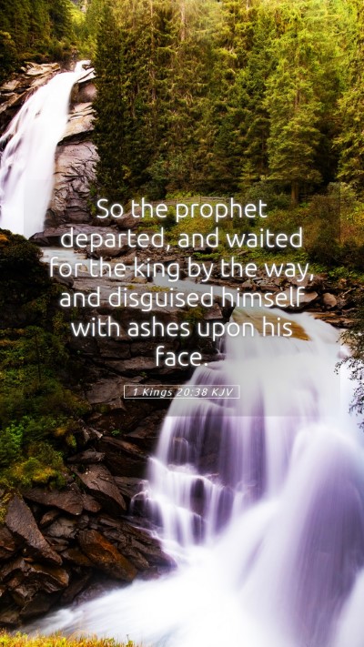 Picture 05 - 1 Kings 20:38 KJV Mobile Phone Wallpaper - So the prophet departed, and waited for the king - Mobile Bible Verse Wallpaper