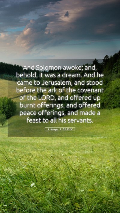 Picture 05 - 1 Kings 3:15 KJV Mobile Phone Wallpaper - And Solomon awoke; and, behold, it was a dream. - Mobile Bible Verse Wallpaper