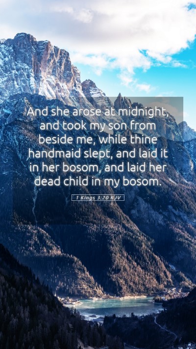 Picture 05 - 1 Kings 3:20 KJV Mobile Phone Wallpaper - And she arose at midnight, and took my son from - Mobile Bible Verse Wallpaper