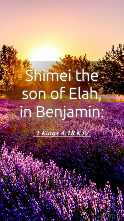 Picture 05 - 1 Kings 4:18 KJV Mobile Phone Wallpaper - Shimei the son of Elah, in - Mobile Bible Verse Wallpaper