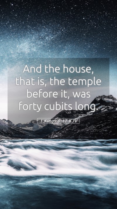 Picture 05 - 1 Kings 6:17 KJV Mobile Phone Wallpaper - And the house, that is, the temple before it, was - Mobile Bible Verse Wallpaper