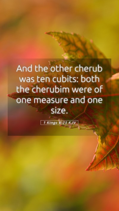 Picture 05 - 1 Kings 6:25 KJV Mobile Phone Wallpaper - And the other cherub was ten cubits: both the - Mobile Bible Verse Wallpaper