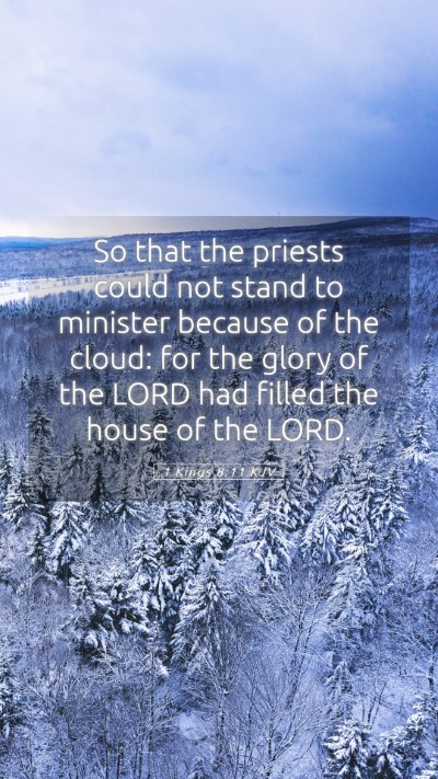 Picture 05 - 1 Kings 8:11 KJV Mobile Phone Wallpaper - So that the priests could not stand to minister - Mobile Bible Verse Wallpaper