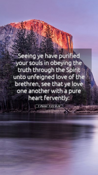 Picture 05 - 1 Peter 1:22 KJV Mobile Phone Wallpaper - Seeing ye have purified your souls in obeying the - Mobile Bible Verse Wallpaper