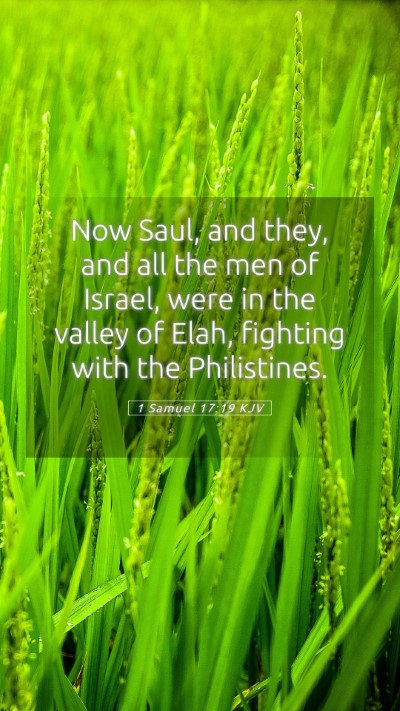 Picture 05 - 1 Samuel 17:19 KJV Mobile Phone Wallpaper - Now Saul, and they, and all the men of Israel, - Mobile Bible Verse Wallpaper