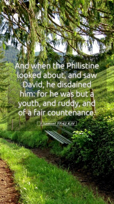 Picture 05 - 1 Samuel 17:42 KJV Mobile Phone Wallpaper - And when the Philistine looked about, and saw - Mobile Bible Verse Wallpaper