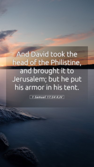 Picture 05 - 1 Samuel 17:54 KJV Mobile Phone Wallpaper - And David took the head of the Philistine, and - Mobile Bible Verse Wallpaper