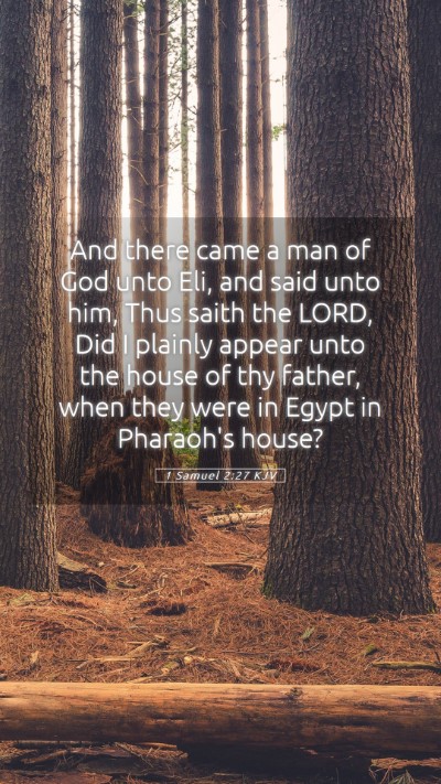 Picture 05 - 1 Samuel 2:27 KJV Mobile Phone Wallpaper - And there came a man of God unto Eli, and said - Mobile Bible Verse Wallpaper