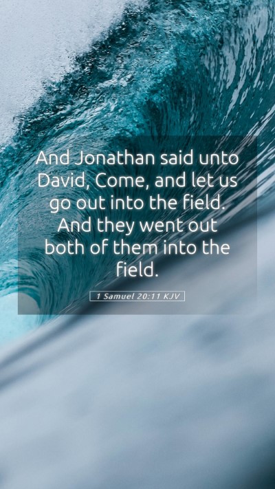 Picture 05 - 1 Samuel 20:11 KJV Mobile Phone Wallpaper - And Jonathan said unto David, Come, and let us go - Mobile Bible Verse Wallpaper