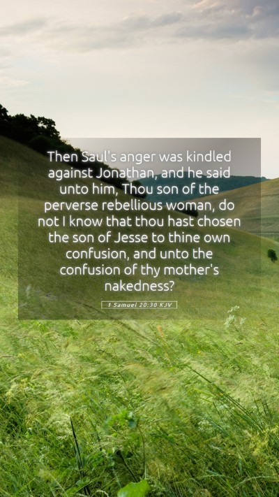 Picture 05 - 1 Samuel 20:30 KJV Mobile Phone Wallpaper - Then Saul's anger was kindled against Jonathan, - Mobile Bible Verse Wallpaper