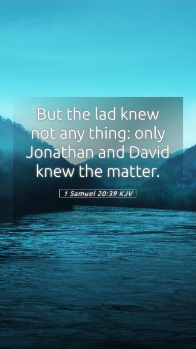 Picture 05 - 1 Samuel 20:39 KJV Mobile Phone Wallpaper - But the lad knew not any thing: only Jonathan and - Mobile Bible Verse Wallpaper