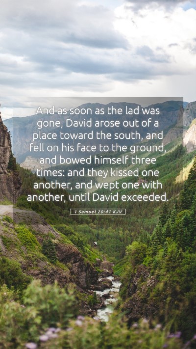 Picture 05 - 1 Samuel 20:41 KJV Mobile Phone Wallpaper - And as soon as the lad was gone, David arose out - Mobile Bible Verse Wallpaper