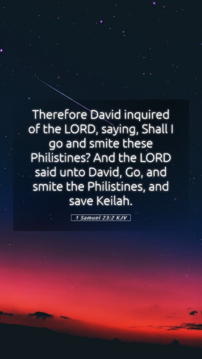 Picture 05 - 1 Samuel 23:2 KJV Mobile Phone Wallpaper - Therefore David inquired of the LORD, saying, - Mobile Bible Verse Wallpaper