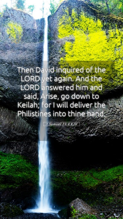 Picture 05 - 1 Samuel 23:4 KJV Mobile Phone Wallpaper - Then David inquired of the LORD yet again. And - Mobile Bible Verse Wallpaper
