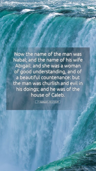 Picture 05 - 1 Samuel 25:3 KJV Mobile Phone Wallpaper - Now the name of the man was Nabal; and the name - Mobile Bible Verse Wallpaper