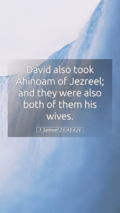 Picture 05 - 1 Samuel 25:43 KJV Mobile Phone Wallpaper - David also took Ahinoam of Jezreel; and they were - Mobile Bible Verse Wallpaper