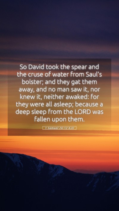Picture 05 - 1 Samuel 26:12 KJV Mobile Phone Wallpaper - So David took the spear and the cruse of water - Mobile Bible Verse Wallpaper