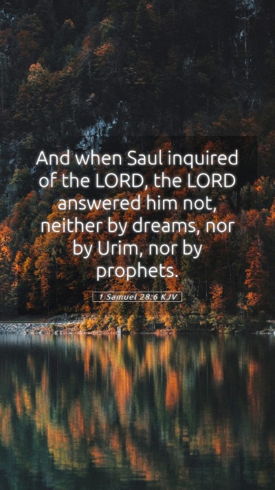 Picture 05 - 1 Samuel 28:6 KJV Mobile Phone Wallpaper - And when Saul inquired of the LORD, the LORD - Mobile Bible Verse Wallpaper