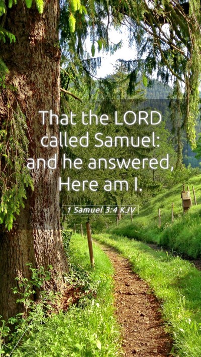 Picture 05 - 1 Samuel 3:4 KJV Mobile Phone Wallpaper - That the LORD called Samuel: and he answered, - Mobile Bible Verse Wallpaper