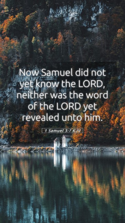 Picture 05 - 1 Samuel 3:7 KJV Mobile Phone Wallpaper - Now Samuel did not yet know the LORD, neither was - Mobile Bible Verse Wallpaper