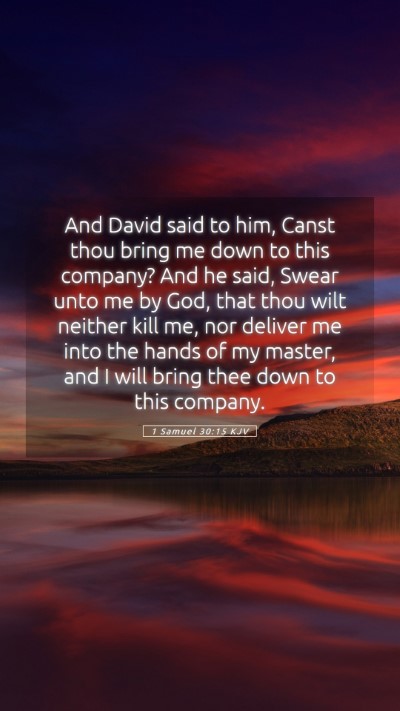 Picture 05 - 1 Samuel 30:15 KJV Mobile Phone Wallpaper - And David said to him, Canst thou bring me down - Mobile Bible Verse Wallpaper