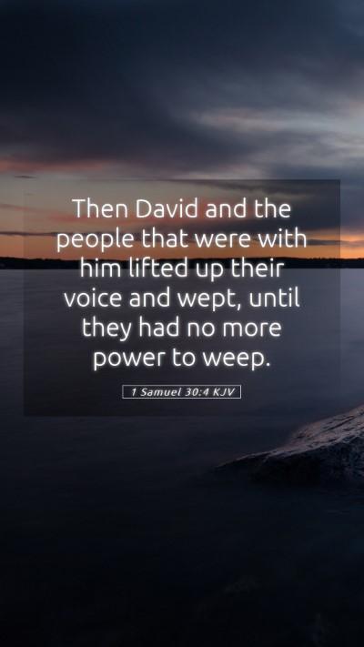 Picture 05 - 1 Samuel 30:4 KJV Mobile Phone Wallpaper - Then David and the people that were with him - Mobile Bible Verse Wallpaper