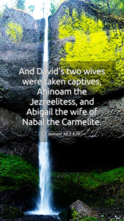 Picture 05 - 1 Samuel 30:5 KJV Mobile Phone Wallpaper - And David's two wives were taken captives, - Mobile Bible Verse Wallpaper