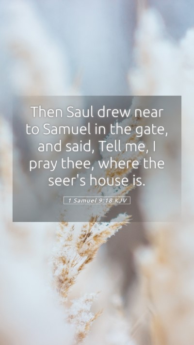 Picture 05 - 1 Samuel 9:18 KJV Mobile Phone Wallpaper - Then Saul drew near to Samuel in the gate, and - Mobile Bible Verse Wallpaper