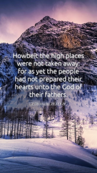 Picture 05 - 2 Chronicles 20:33 KJV Mobile Phone Wallpaper - Howbeit the high places were not taken away: for - Mobile Bible Verse Wallpaper