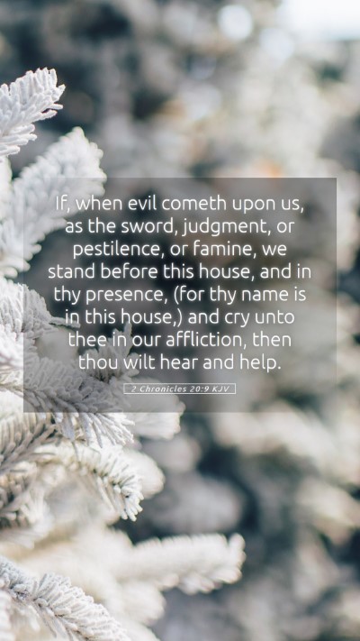 Picture 05 - 2 Chronicles 20:9 KJV Mobile Phone Wallpaper - If, when evil cometh upon us, as the sword, - Mobile Bible Verse Wallpaper