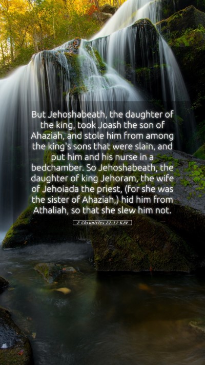 Picture 05 - 2 Chronicles 22:11 KJV Mobile Phone Wallpaper - But Jehoshabeath, the daughter of the king, took - Mobile Bible Verse Wallpaper