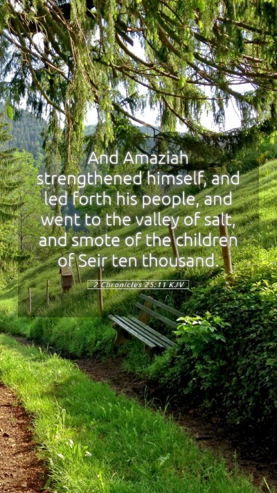 Picture 05 - 2 Chronicles 25:11 KJV Mobile Phone Wallpaper - And Amaziah strengthened himself, and led forth - Mobile Bible Verse Wallpaper