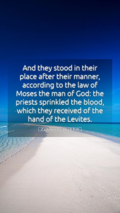 Picture 05 - 2 Chronicles 30:16 KJV Mobile Phone Wallpaper - And they stood in their place after their manner, - Mobile Bible Verse Wallpaper