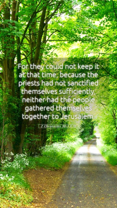 Picture 05 - 2 Chronicles 30:3 KJV Mobile Phone Wallpaper - For they could not keep it at that time, because - Mobile Bible Verse Wallpaper