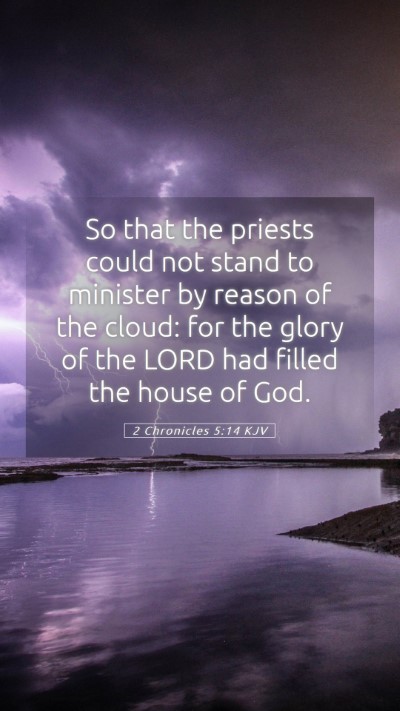 Picture 05 - 2 Chronicles 5:14 KJV Mobile Phone Wallpaper - So that the priests could not stand to minister - Mobile Bible Verse Wallpaper