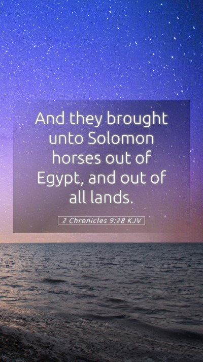 Picture 05 - 2 Chronicles 9:28 KJV Mobile Phone Wallpaper - And they brought unto Solomon horses out of - Mobile Bible Verse Wallpaper