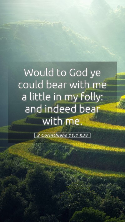 Picture 05 - 2 Corinthians 11:1 KJV Mobile Phone Wallpaper - Would to God ye could bear with me a little in my - Mobile Bible Verse Wallpaper