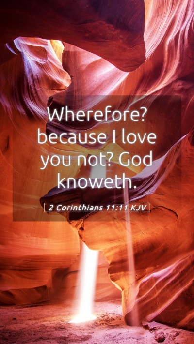 Picture 05 - 2 Corinthians 11:11 KJV Mobile Phone Wallpaper - Wherefore? because I love you not? God - Mobile Bible Verse Wallpaper