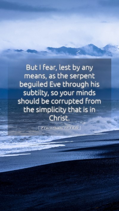Picture 05 - 2 Corinthians 11:3 KJV Mobile Phone Wallpaper - But I fear, lest by any means, as the serpent - Mobile Bible Verse Wallpaper