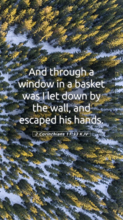 Picture 05 - 2 Corinthians 11:33 KJV Mobile Phone Wallpaper - And through a window in a basket was I let down - Mobile Bible Verse Wallpaper