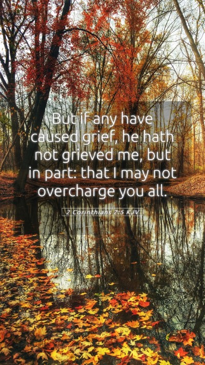 Picture 05 - 2 Corinthians 2:5 KJV Mobile Phone Wallpaper - But if any have caused grief, he hath not grieved - Mobile Bible Verse Wallpaper