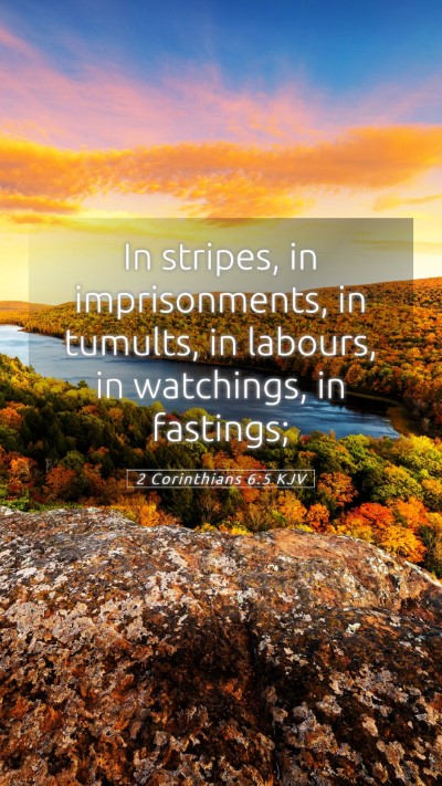 Picture 05 - 2 Corinthians 6:5 KJV Mobile Phone Wallpaper - In stripes, in imprisonments, in tumults, in - Mobile Bible Verse Wallpaper