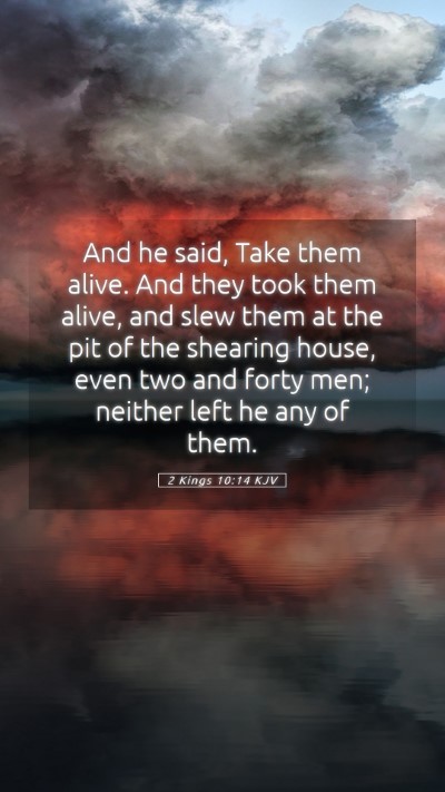 Picture 05 - 2 Kings 10:14 KJV Mobile Phone Wallpaper - And he said, Take them alive. And they took them - Mobile Bible Verse Wallpaper