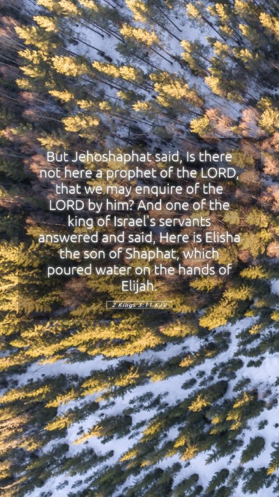 Picture 05 - 2 Kings 3:11 KJV Mobile Phone Wallpaper - But Jehoshaphat said, Is there not here a prophet - Mobile Bible Verse Wallpaper