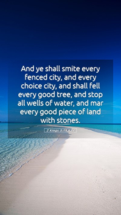 Picture 05 - 2 Kings 3:19 KJV Mobile Phone Wallpaper - And ye shall smite every fenced city, and every - Mobile Bible Verse Wallpaper