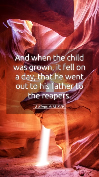 Picture 05 - 2 Kings 4:18 KJV Mobile Phone Wallpaper - And when the child was grown, it fell on a day, - Mobile Bible Verse Wallpaper