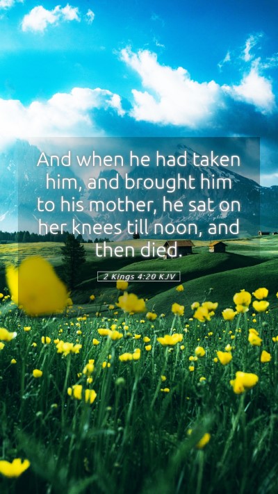 Picture 05 - 2 Kings 4:20 KJV Mobile Phone Wallpaper - And when he had taken him, and brought him to his - Mobile Bible Verse Wallpaper